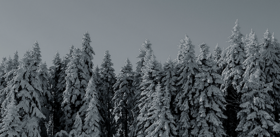 Vinterkampanj – Säkra driften i vinter!